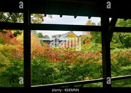 Couleurs d'automne à Tofuku ji à Kyoto Banque D'Images