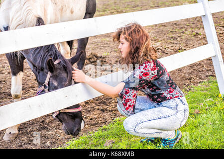 Jeune femme de flatter un noir et blanc sur l'herbe de pâturage clôture cheval derrière en pleine campagne à dirt field pasture enclos avec clôture en bois blanc Banque D'Images