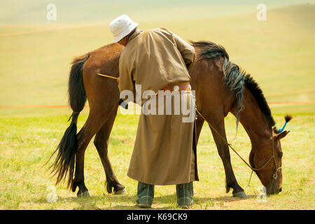 Oulan-bator, Mongolie - 12 juin 2007 : arrière d'un homme en vêtements traditionnels mongols toiletter son cheval dans la steppe ruraux en Mongolie Banque D'Images