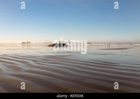 Belle vue sur la plage de sable sur l'océan pacifique. photo prise dans chesterman, Tofino, Vancouver Island, British Columbia, Canada, au cours d'une connexion Wi-Fi Banque D'Images