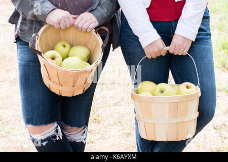 Deux femmes filles tenant des paniers de pommes en bois ils ont choisi eux-mêmes à un verger à l'automne Banque D'Images