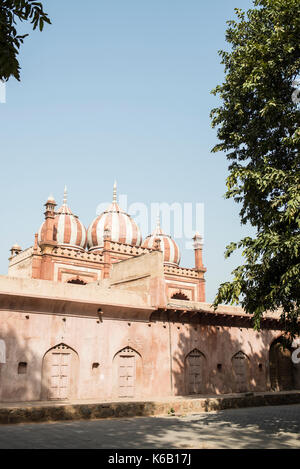 Le tombeau de safdarjang, delhi Banque D'Images