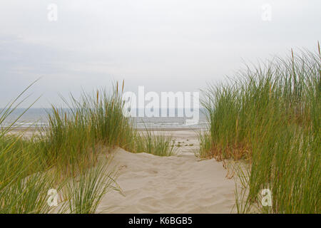 Vue sur la plage et la mer depuis le sommet d'une dune cultivés avec l'ammophile Banque D'Images