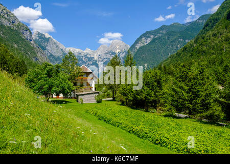 Paysage avec les prés, les champs, les agriculteurs d'une maison, arbres et montagnes en vallée de la Soča dans Parc national du Triglav Banque D'Images