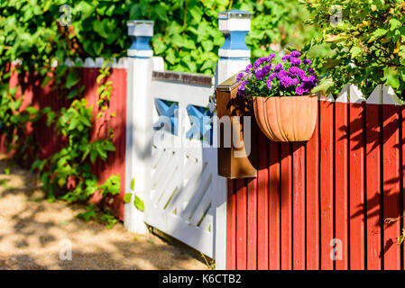 Fleurs violettes en pot en céramique rouge accroché sur picket fence à côté de blanc et de bleu porte de jardin. Banque D'Images