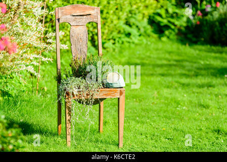 Chaise exterieur vintage recyclés ou mis en place comme en pot de jardin. Banque D'Images