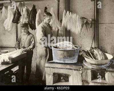 Teinture des plumes d' autruche 1919 Banque D'Images