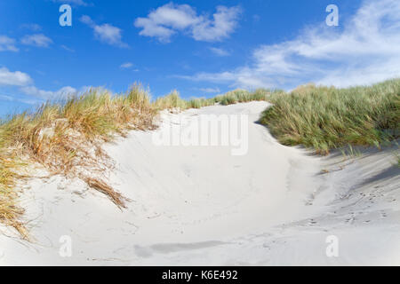 Érodée, dune, soulevée par le vent sur le dessus avec l'ammophile Banque D'Images