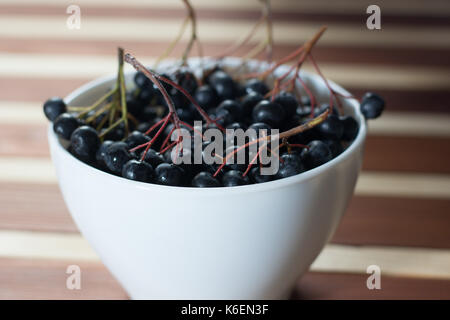 Gros plan du blanc dans les baies aronia humide bol simple sur table en bois Banque D'Images