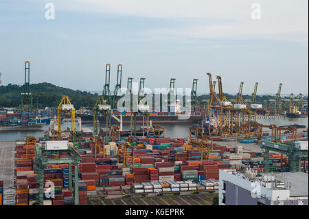 19.07.2017, Singapour, République de Singapour, en Asie - une vue sur le grand terminal à conteneurs. Banque D'Images