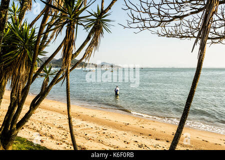 Pêche de pêcheur avec filet de pêche à la plage de Santo Antonio de Lisboa. Florianopolis, Santa Catarina, Brésil. Banque D'Images