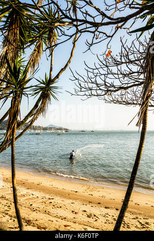 Pêche de pêcheur avec filet de pêche à la plage de Santo Antonio de Lisboa. Florianopolis, Santa Catarina, Brésil. Banque D'Images