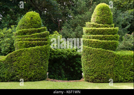 Wyndcliffe Court Gardens, Monmouthshire, Wales, UK. Haies d'ifs taillés dans les jardins conçus par Avray Tipping Banque D'Images