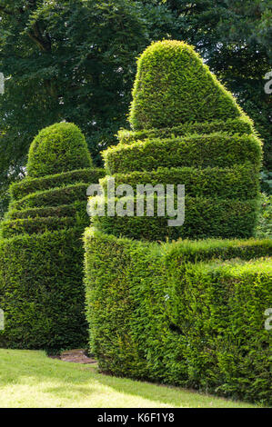 Wyndcliffe Court Gardens, Monmouthshire, Wales, UK. Haies d'ifs taillés dans les jardins conçus par Avray Tipping Banque D'Images