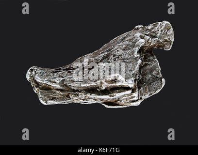 Fragment de météorite de fer appelé Campo del cielo découvert en 1576 Banque D'Images