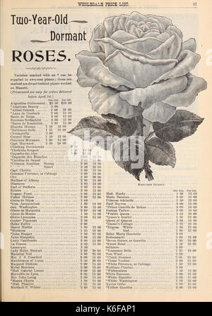 Dreer's Liste des prix de gros (16600033059) Banque D'Images