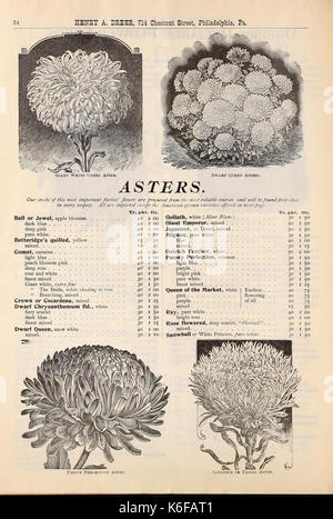 Dreer's quarterly Liste des prix de gros (15950381223) Banque D'Images