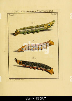 De natuurlyke historie der insecten (tab. XV) (7158159464) Banque D'Images
