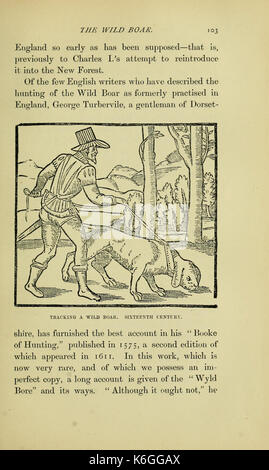 Animaux britannique disparu dans les temps historiques BHL12328776 Banque D'Images