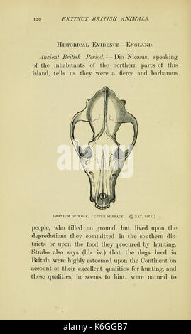 Animaux britannique disparu dans les temps historiques BHL12328793 Banque D'Images