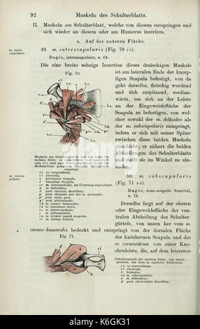 Die pot des Frosches (page 92) BHL33481563 Banque D'Images