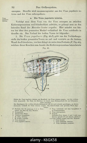 Die pot des Frosches (page 92) BHL33481709 Banque D'Images