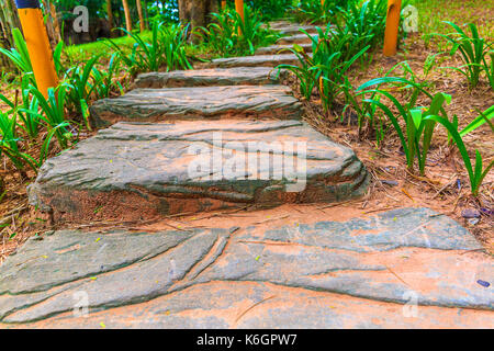 Un escalier formé par de grandes pierres plates menant au sommet d'une colline. Banque D'Images