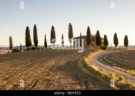 Une maison entourée de cyprès juste en dehors de Pienza, val d'orcia toscane italie Europe eu Banque D'Images