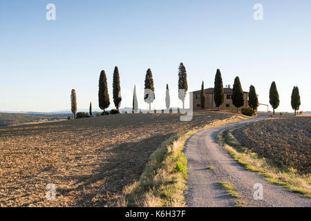 Une maison entourée de cyprès juste en dehors de Pienza, val d'orcia toscane italie Europe eu Banque D'Images