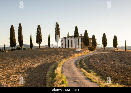 Une maison entourée de cyprès juste en dehors de Pienza, val d'orcia toscane italie Europe eu Banque D'Images