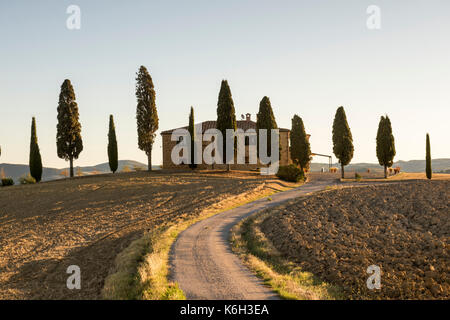 Une maison entourée de cyprès juste en dehors de Pienza, val d'orcia toscane italie Europe eu Banque D'Images