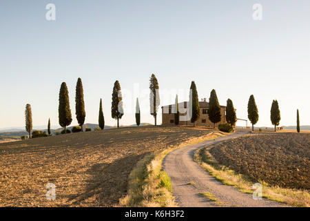 Une maison entourée de cyprès juste en dehors de Pienza, val d'orcia toscane italie Europe eu Banque D'Images