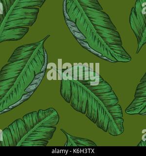 Arrière-plan transparent tropical avec des feuilles tropicales Illustration de Vecteur