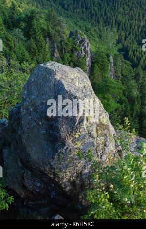 Hahnenkleeklippen / hahnenklee crags au upper harz / oberharz dans le parc national de Harz, Basse-Saxe, Allemagne Banque D'Images