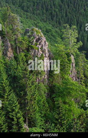 Hahnenkleeklippen / hahnenklee crags au upper harz / oberharz dans le parc national de Harz, Basse-Saxe, Allemagne Banque D'Images