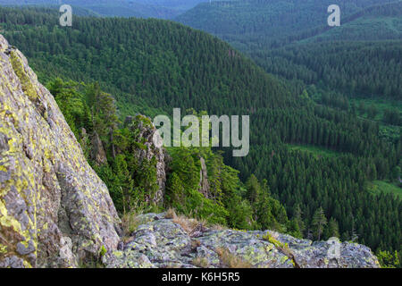 Hahnenkleeklippen / hahnenklee crags au upper harz / oberharz dans le parc national de Harz, Basse-Saxe, Allemagne Banque D'Images