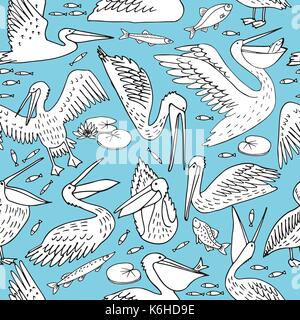 Les pélicans, vecteur, illustration Illustration de Vecteur