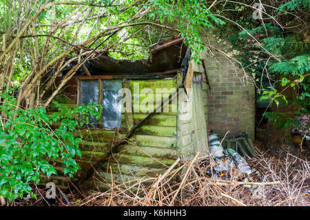 La ruine d'un abri de jardin en bois dans un coin d'un jardin. Banque D'Images