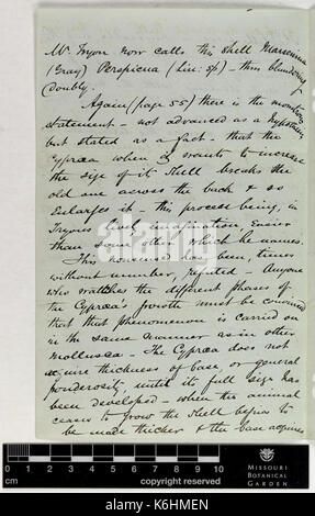 Correspondance Brown (Alfred) et d'Engelmann (George) (nov 01, 1873 (2)) BHL42534295 Banque D'Images