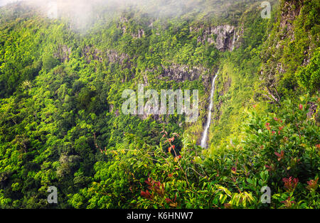 Beau panorama de cascade gorges de la rivière noire et de la jungle autour d'elle, l'île Maurice. Banque D'Images