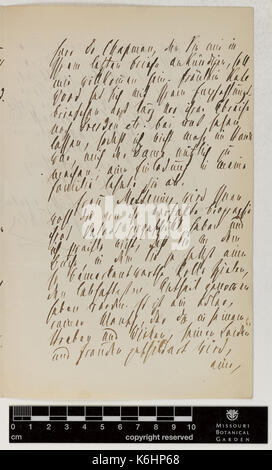 Correspondance Eichler (août) et d'Engelmann (George) (juillet 20, 1882 (2)) BHL43373631 Banque D'Images