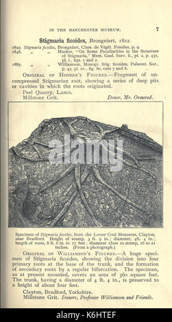 Catalogue des types et figuré de spécimens dans le département géologique (page 7) BHL17143533 Banque D'Images