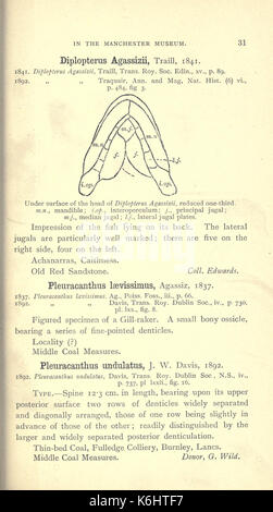 Catalogue des types et figuré de spécimens dans le département géologique (page 31) BHL17143519 Banque D'Images