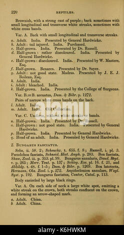 Catalogue des serpents colubrine dans la collection du British Museum (page 220) BHL13237074 Banque D'Images