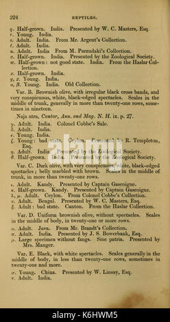 Catalogue des serpents colubrine dans la collection du British Museum (page 224) BHL13237078 Banque D'Images