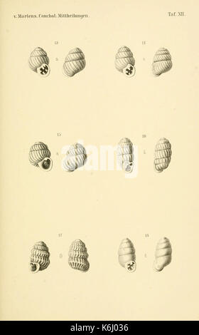 Conchologische Mittheilungen der als Fortsetzung Novitates conchologicae (6298953500) Banque D'Images