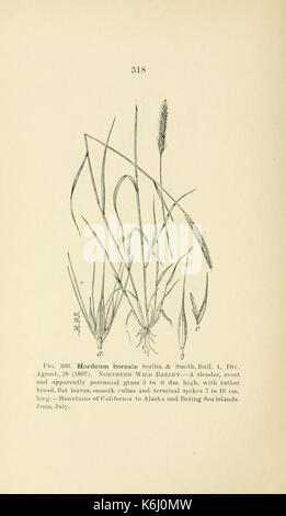 Bulletin (page 318) BHL4875328 Banque D'Images