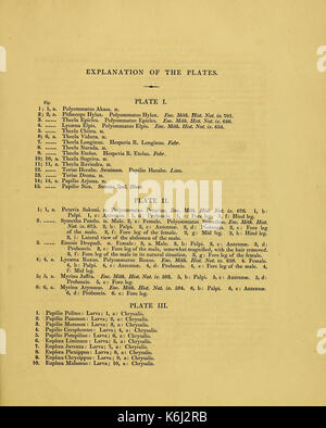 Catalogue descriptif des insectes lépidoptères figurant dans le Musée de l'honorable Compagnie des Indes BHL37023683 Banque D'Images