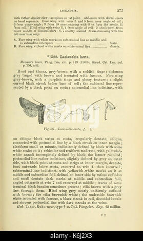 Catalogue des Lepidoptera Phalaenae au British Museum (page 275) BHL18410502 Banque D'Images