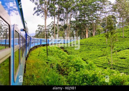 Un train passe par la plantation de thé à Nuwara Eliya, Sri Lanka. la production de thé est l'une des principales sources de devises pour le Sri lanka Banque D'Images
